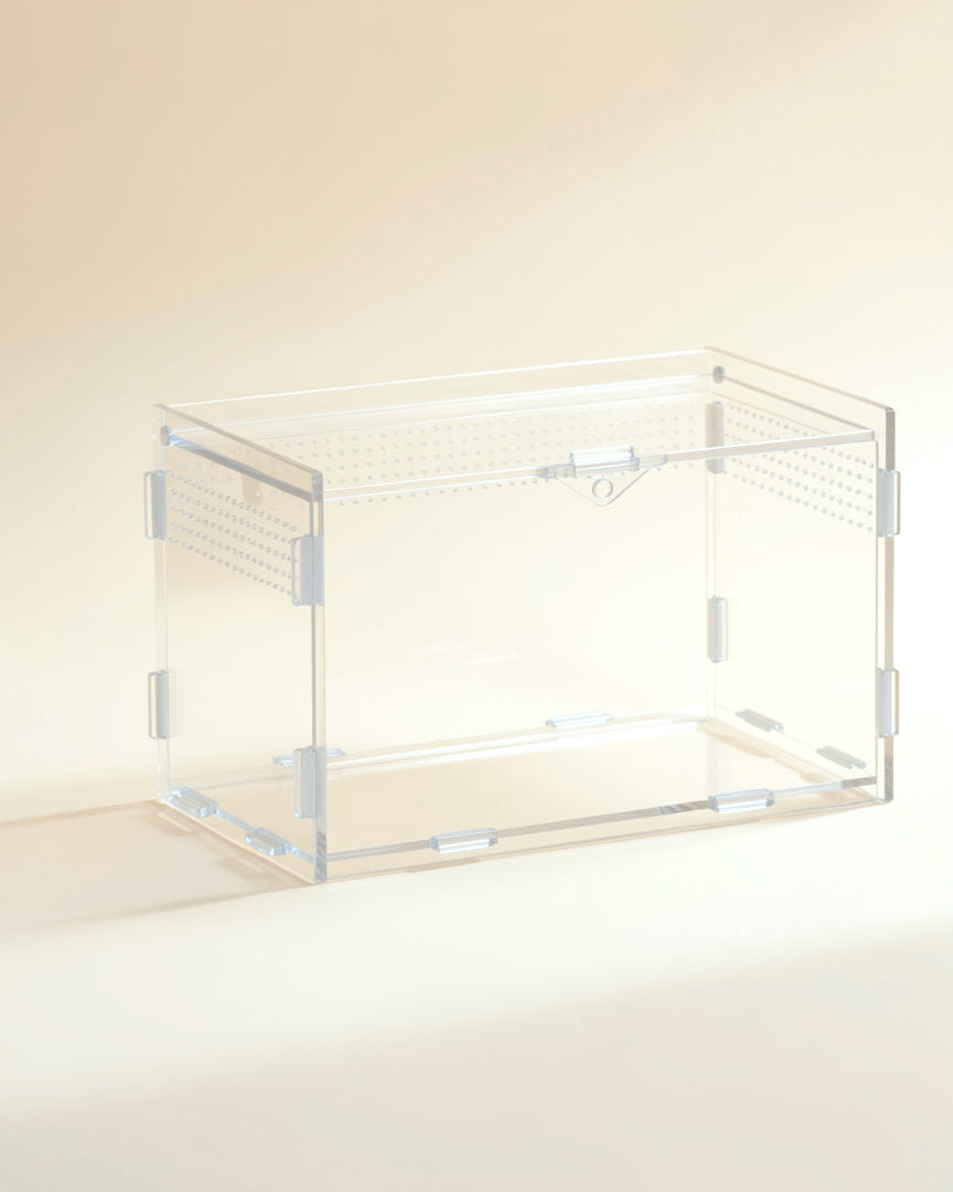 Low acrylic enclosure, size M, 7.9 x 4.7 in floor, empty, studio photo