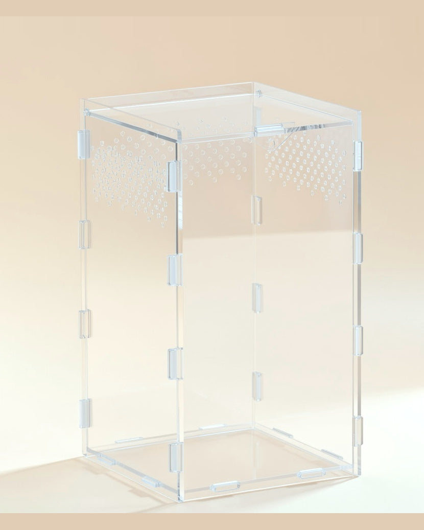 Praying mantis starter set: the 9.8 in tall acrylic enclosure, studio photo; branch, tweezers and mist bottle in the next photo