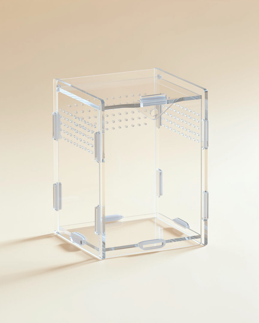 Tall acrylic enclosure, size S, 3.9 in tall, empty, studio photo