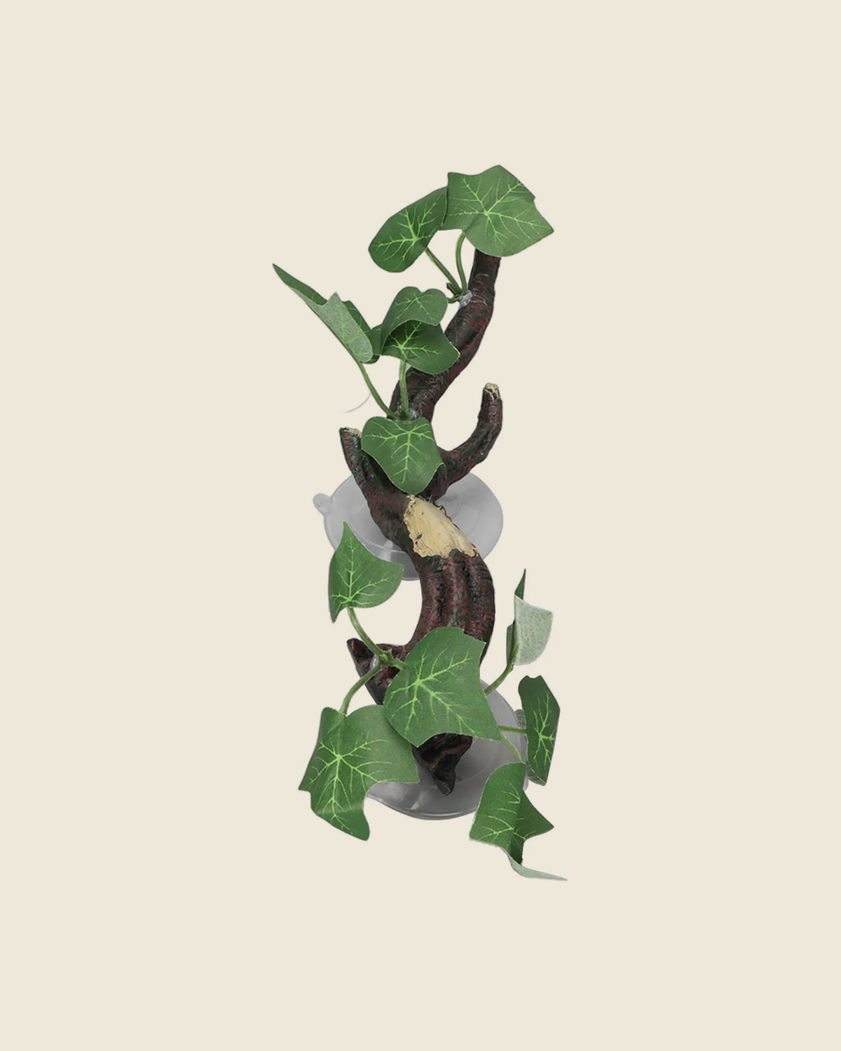 Suction cup branch with ivy leaves, upright view