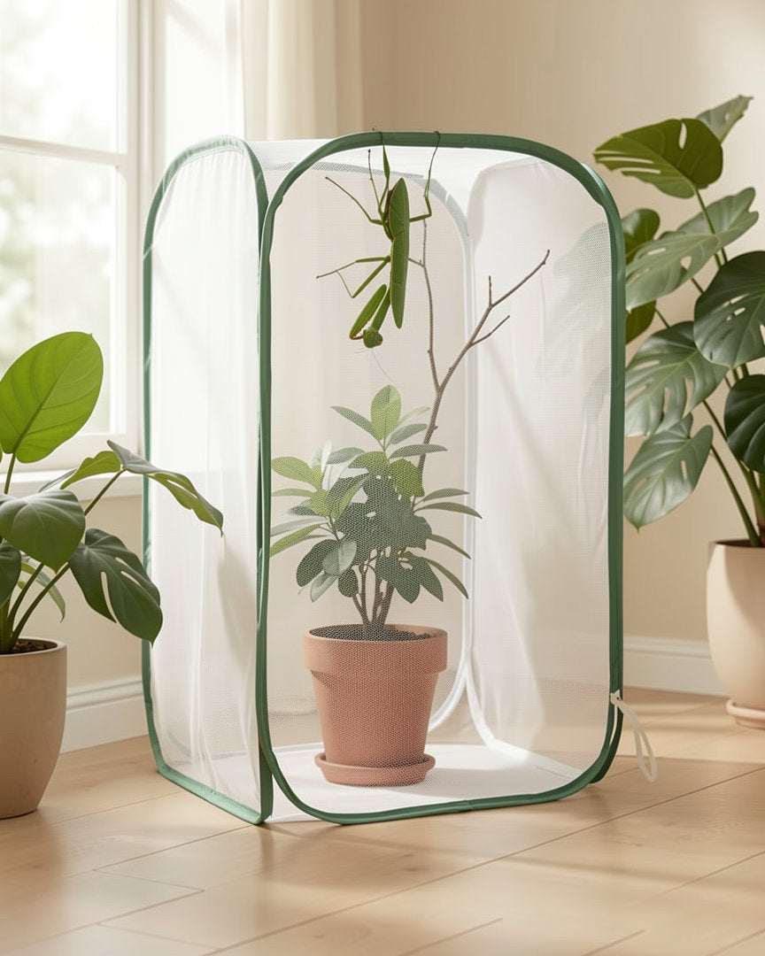 Tall mesh cage in a bright room with a praying mantis inside; the mantis, plant and branch are not included