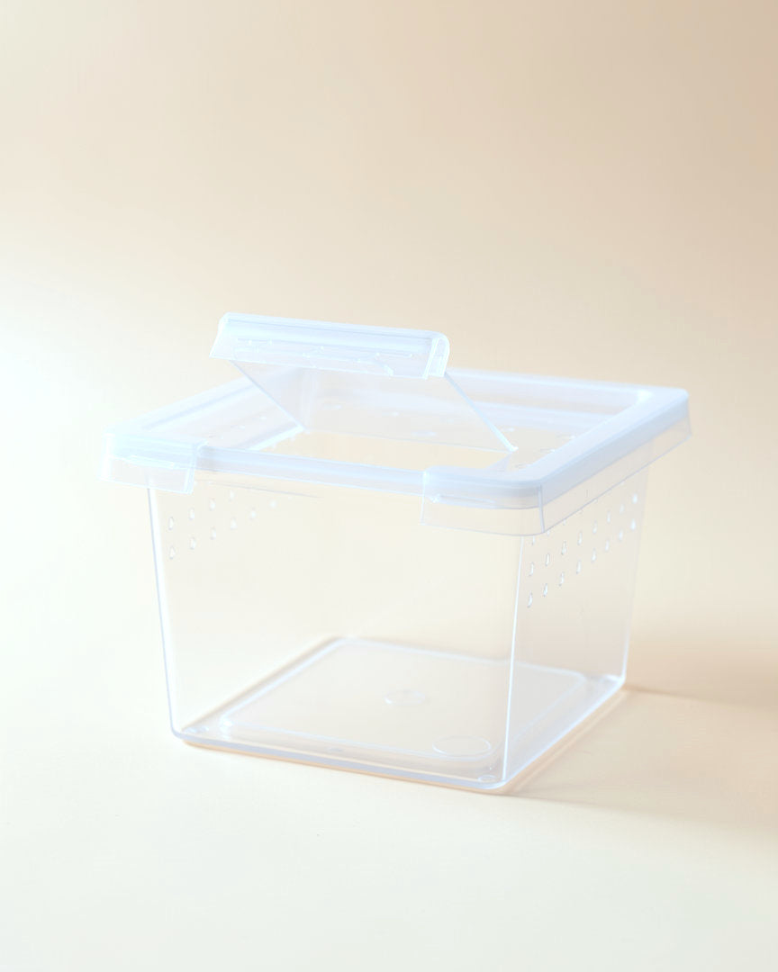 Sling and nymph starter set: a clear nursery box, studio photo; the set has ten boxes, tweezers and a mist bottle, shown in the next photo