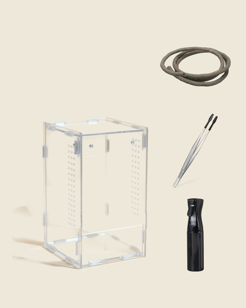 Jumping spider starter set for adults: front-opening acrylic enclosure, bendable vine, feeding tweezers and black mist bottle, studio photo