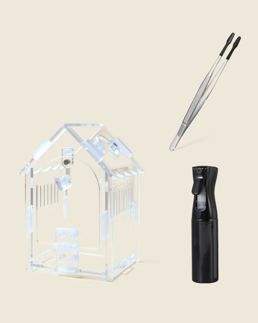 Jumping spider starter set for juveniles: acrylic house, feeding tweezers and black mist bottle, studio photo