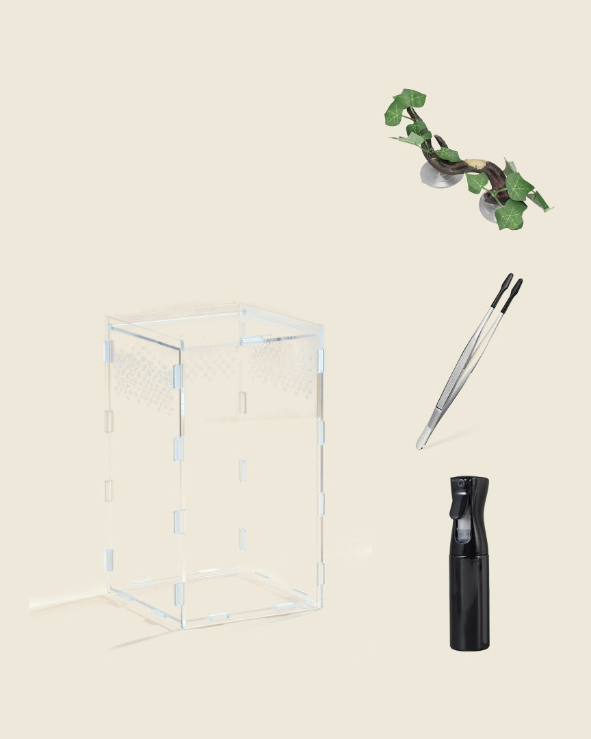 Praying mantis starter set: tall acrylic enclosure, suction cup branch, feeding tweezers and black mist bottle, studio photo