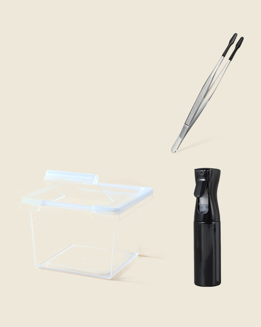 Sling and nymph starter set: a clear nursery box, feeding tweezers and black mist bottle, studio photo; the set has ten boxes