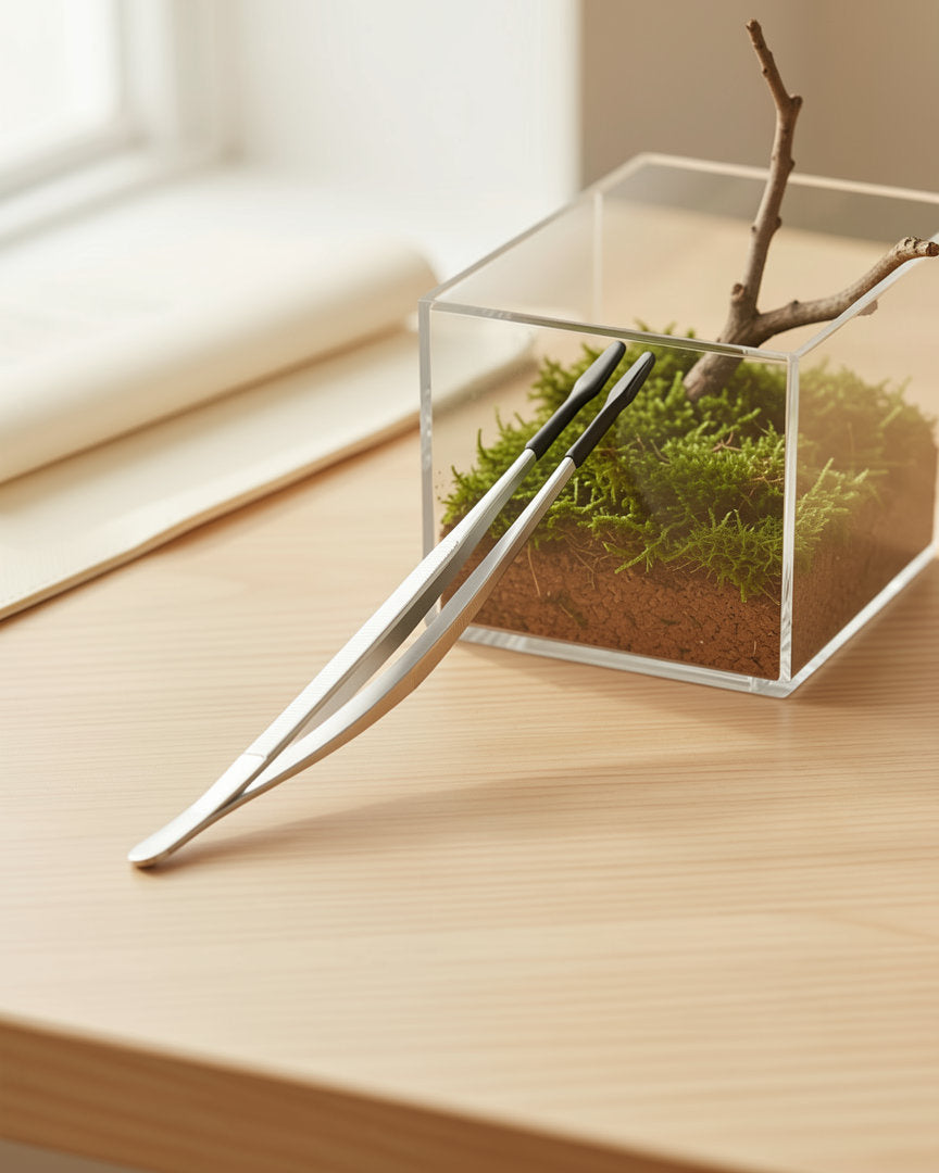 Feeding tweezers on a desk in front of a planted enclosure that is not included